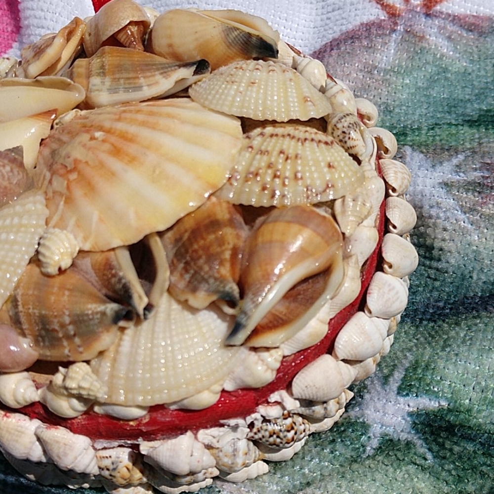 Seashell Jewelry Box - Picture 4 of 6